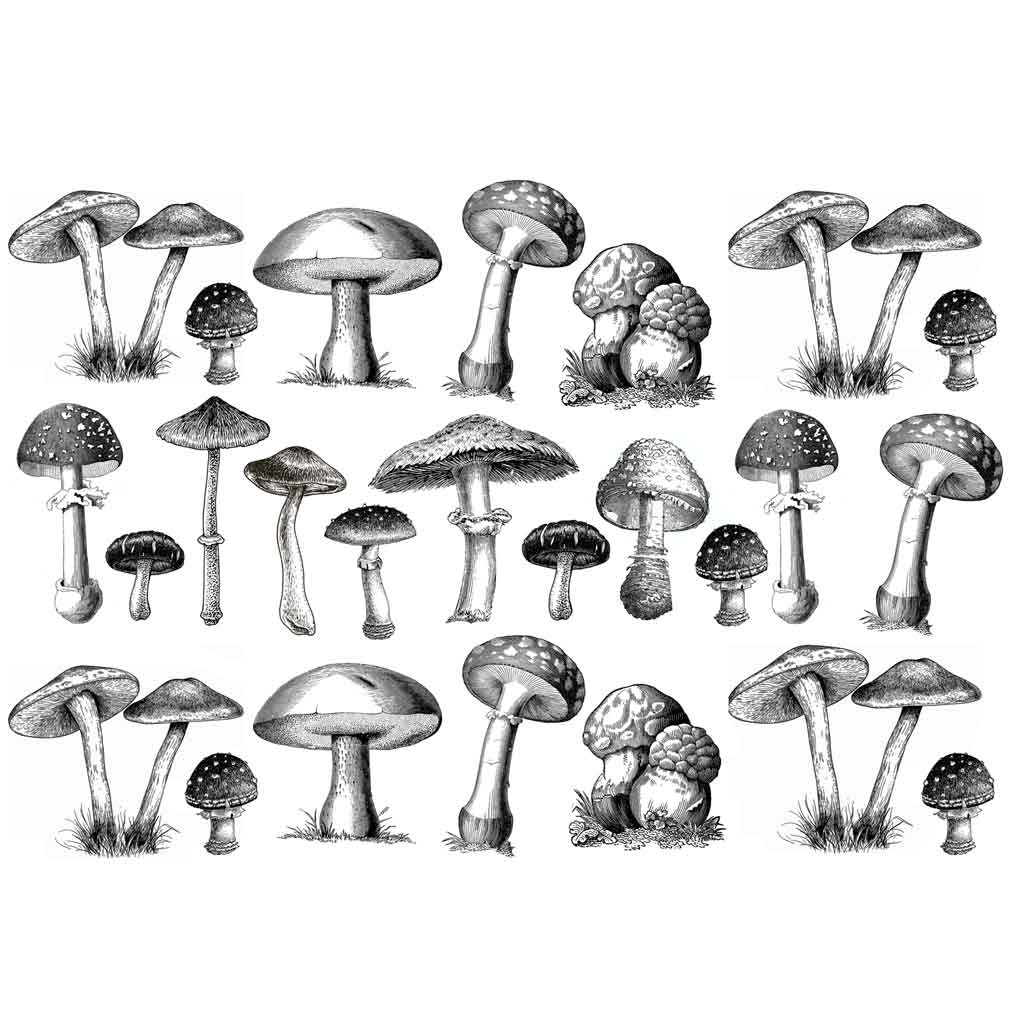 Mushrooms - Underglaze Transfer - Amaranth Stoneware Canada