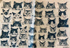 Zany Cats - Underglaze Transfer Sheet by Elan Pottery