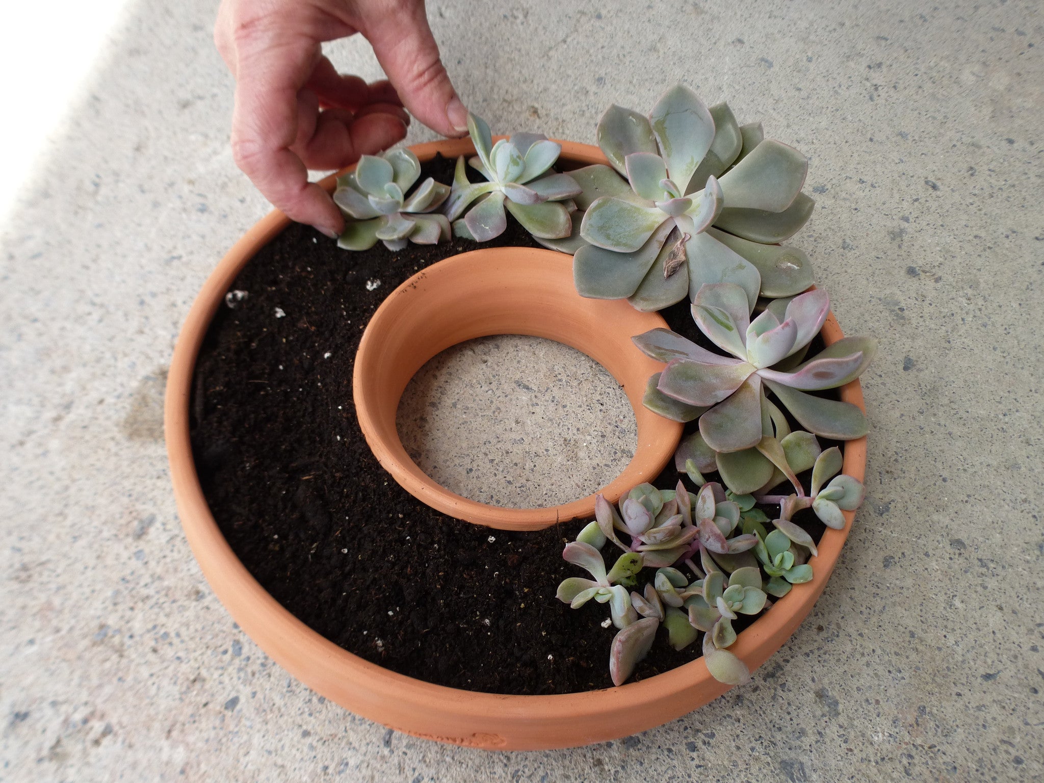 Handcrafted 7.5x2-inch Living Wreath terra cotta planter, perfect for succulents. Great drainage and ideal for indoor or outdoor decor. Handcrafted in Kingston, Ontario at Amaranth Stoneware.