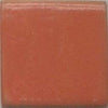 A glossy opaque orange with reddish tones. This durable glaze won’t run and works well with other Coyote glazes! Amaranth Stoneware Canada.