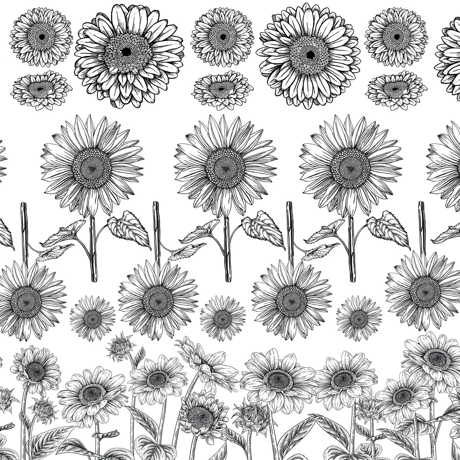 Sunflower Field - Underglaze Transfer