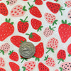 Strawberries (Multi-Coloured) - Underglaze Transfer Sheet by Elan Pottery