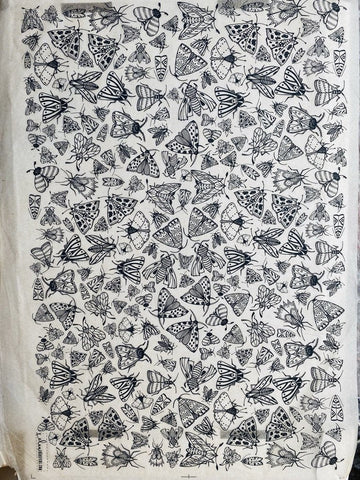 Moths - Underglaze Transfer Sheet by Elan Pottery