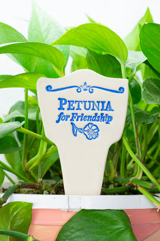 Petunia for Friendship - Amaranth Stoneware Canada