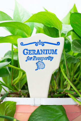 Geranium for Prosperity - Amaranth Stoneware Canada