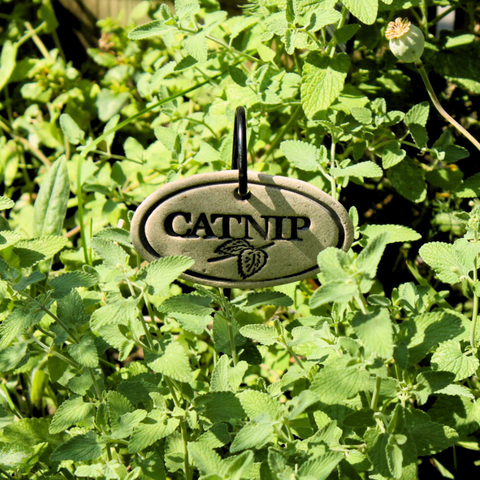 Garden Markers: white stoneware, 3.5