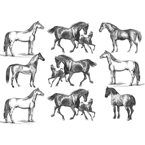 Horses - Underglaze Transfer