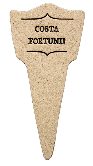 Costa Fortunii - Amaranth Stoneware Canada