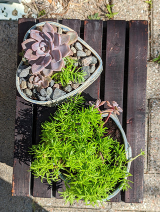 Wild Heart Planter - Amaranth Stoneware Canada