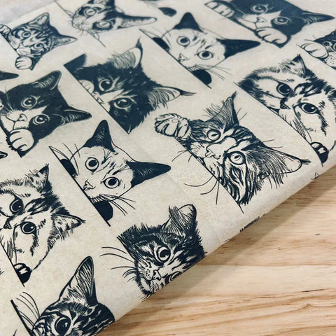 Zany Cats - Underglaze Transfer Sheet by Elan Pottery