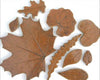Cinnamon Stick glaze, rich glossy brown that develops a bluish haze when thick. Amaranth Stoneware Canada.