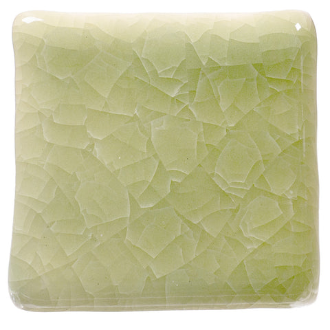 KI-46 Frozen Fern Kiln Ice Glaze by Amaco (PRE-ORDER)