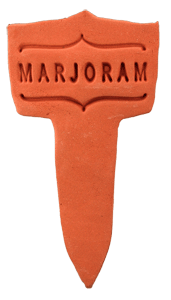 Marjoram - Amaranth Stoneware Canada