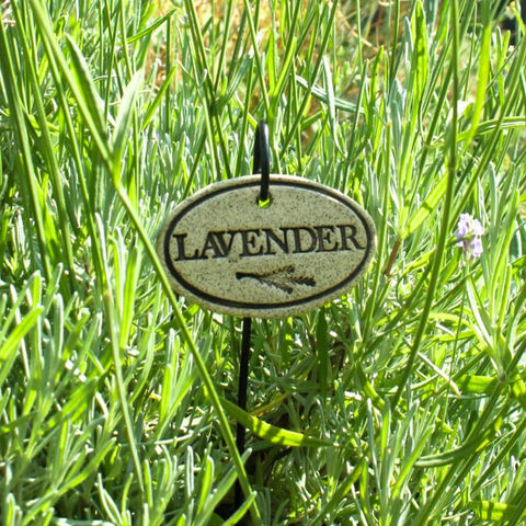 Garden Markers: white stoneware, 3.5