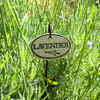 Garden Markers: white stoneware, 3.5"x2.25", weatherproof, rustproof hanger included. Unique leaf design. Handcrafted in Kingston, Ontario at Amaranth Stoneware.