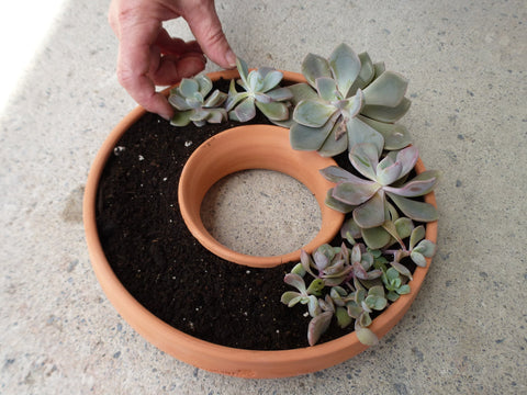 Handcrafted 7.5x2-inch Living Wreath terra cotta planter, perfect for succulents. Great drainage and ideal for indoor or outdoor decor. Handcrafted in Kingston, Ontario at Amaranth Stoneware.