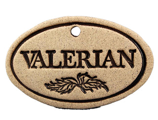 Valerian - Amaranth Stoneware Canada