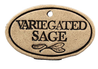 Variegated Sage - Amaranth Stoneware Canada