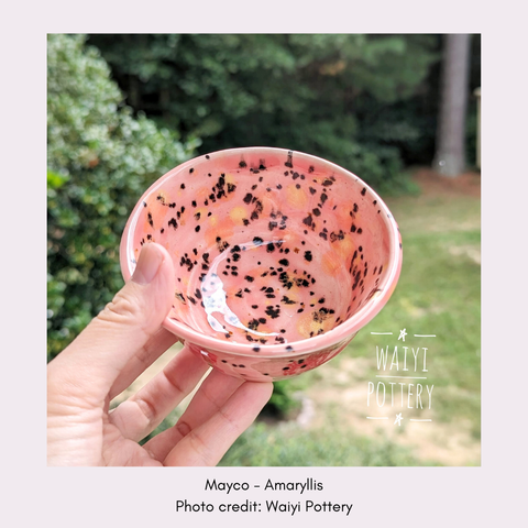 Amaryllis by Mayco SW-192