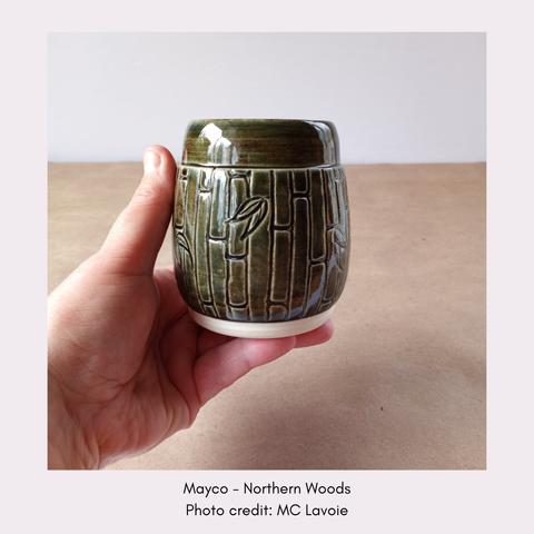 Northern Woods by Mayco SW-120