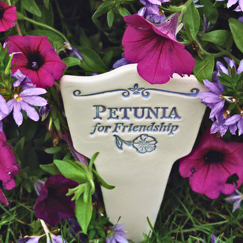 Petunia for Friendship