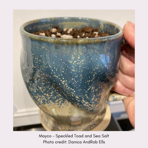Speckled Toad by Mayco SW-184