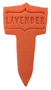 Handcrafted 2.25x4.25-inch terracotta weatherproof Plant Labels, perfect for window boxes, mixed herb planters, or kitchen herb gardens. Handcrafted in Kingston, Ontario at Amaranth Stoneware.