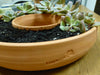 Handcrafted 7.5x2-inch Living Wreath terra cotta planter, perfect for succulents. Great drainage and ideal for indoor or outdoor decor. Handcrafted in Kingston, Ontario at Amaranth Stoneware.