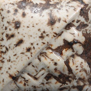 Cone 6: Winter Wood is a matte white glaze with brown crystals that melt during firing.
Cone 10: Color changes to a translucent golden brown. Amaranth Stoneware Canada.