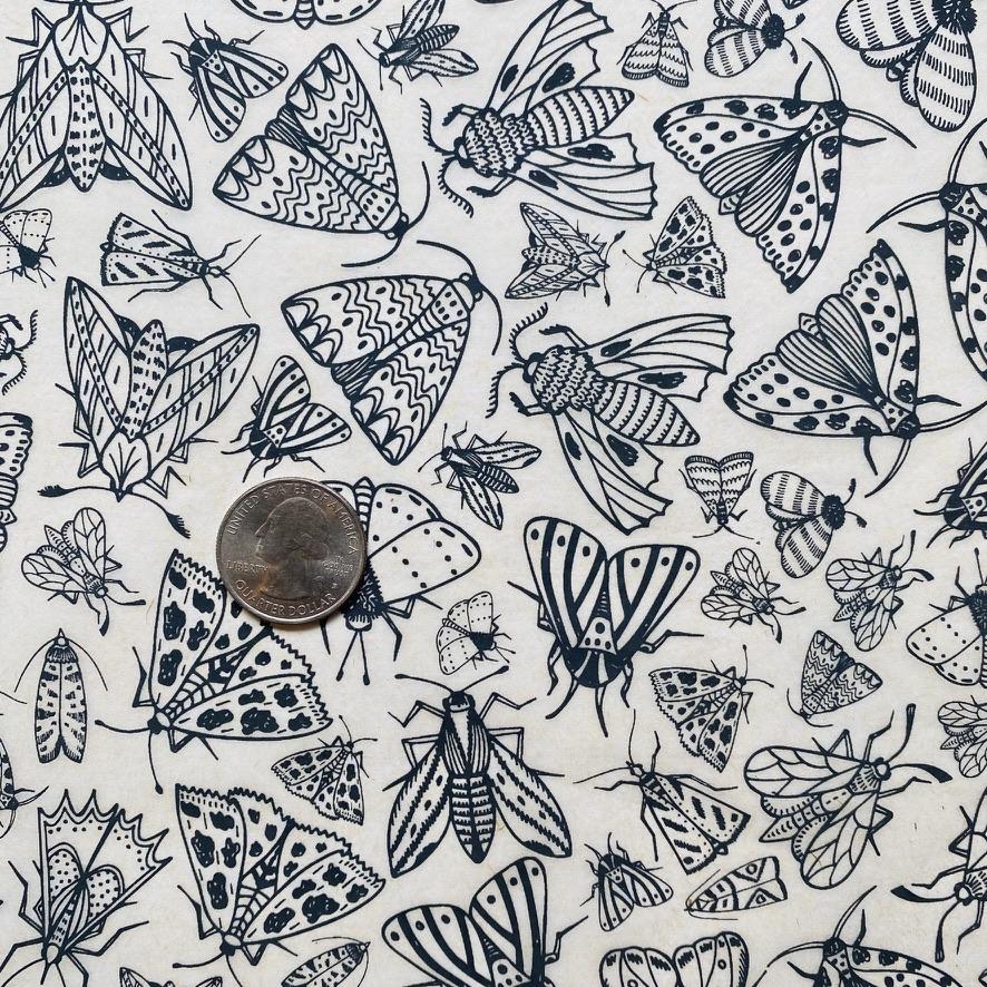 Moths - Underglaze Transfer Sheet by Elan Pottery
