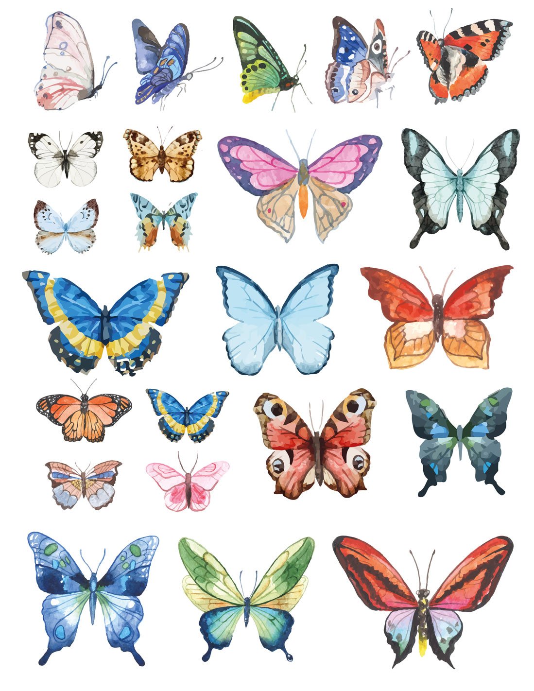 Butterfly - Full Colour - Overglaze Decal