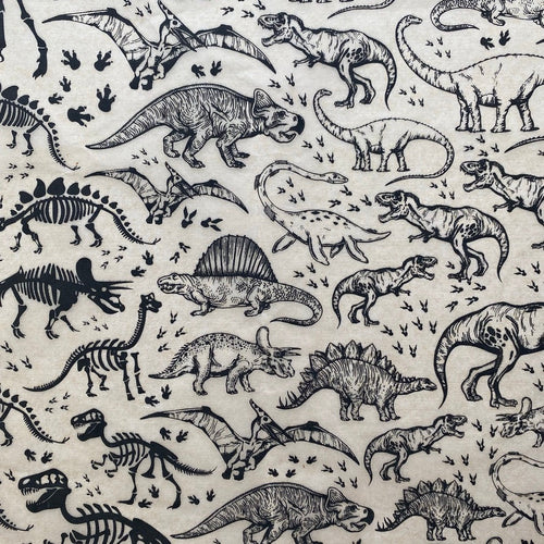 Dinosaurs - Underglaze Transfer Sheet by Elan Pottery