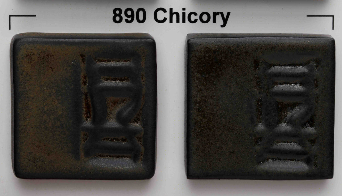 Chicory (890) Enviro-Colour by Opulence