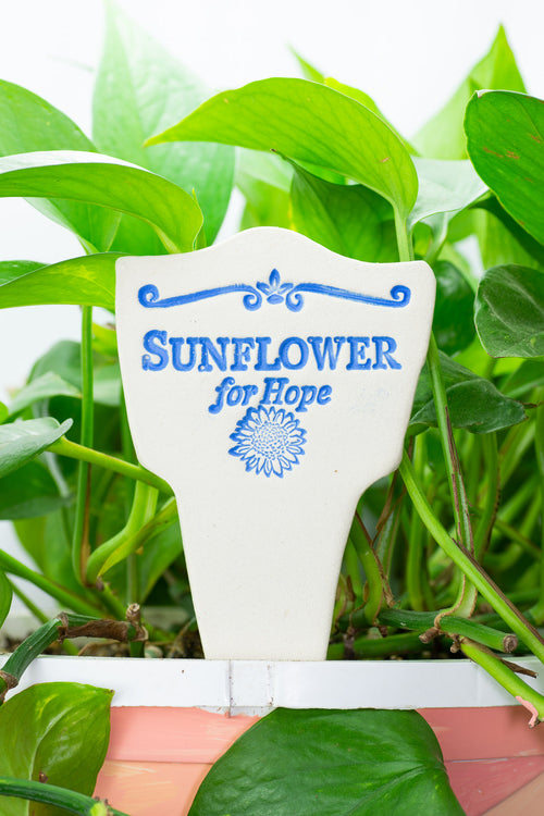 Sunflower for Hope