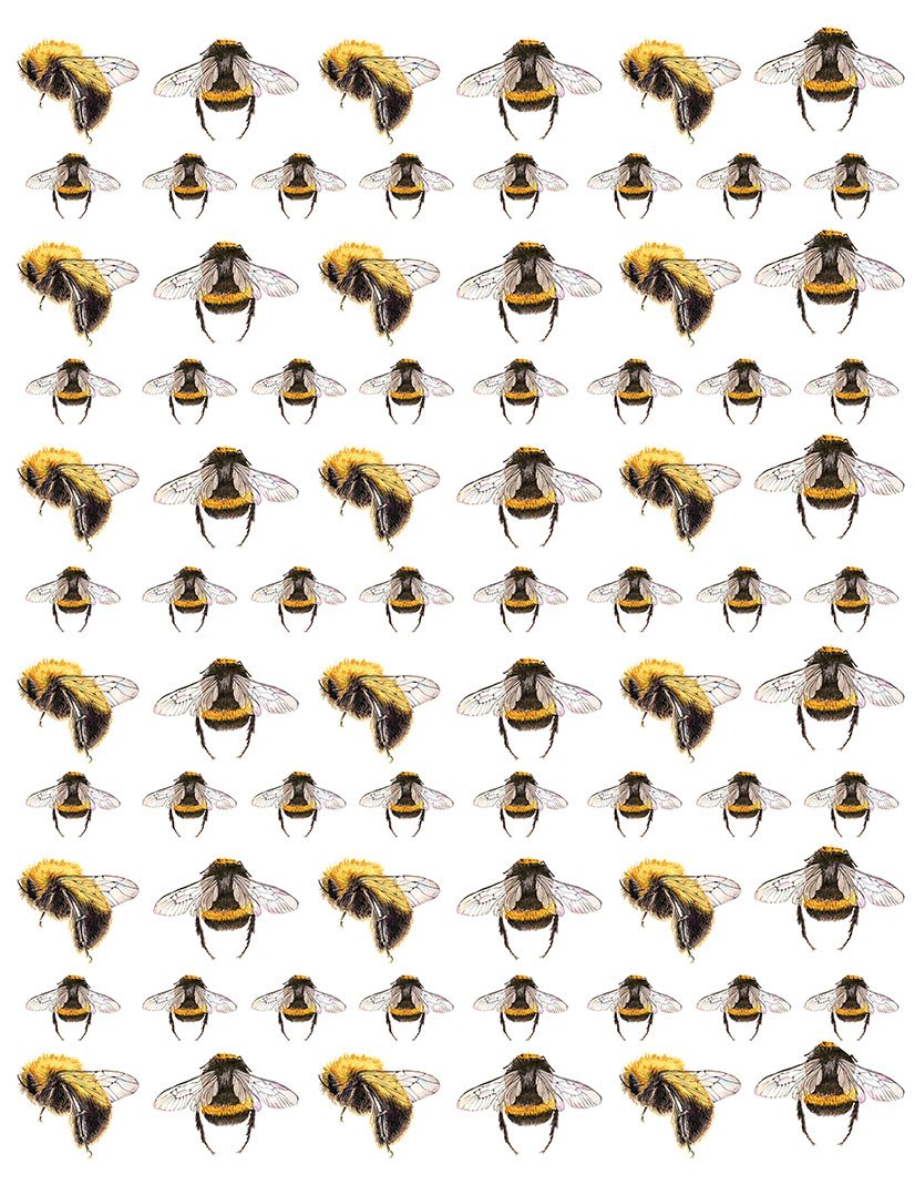 Bee - Full Colour - Overglaze Decal