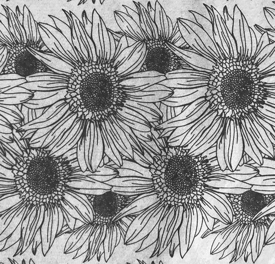 Sunflower Border - Underglaze Transfer Sheet by Elan Pottery