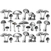 Mushrooms - Underglaze Transfer