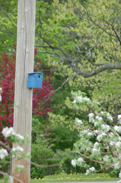Nest Box - Orchard - Amaranth Stoneware Canada