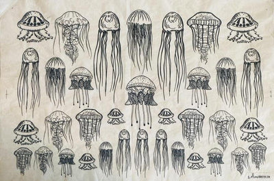 Jellyfish - Underglaze Transfer Sheet by Elan Pottery
