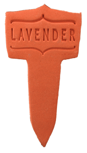 Lavender - Amaranth Stoneware Canada