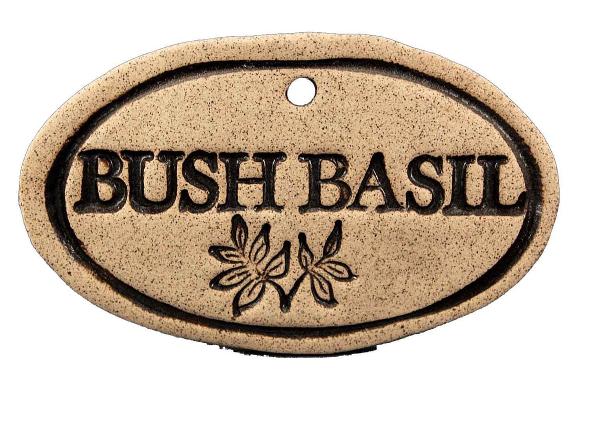 Bush Basil - Amaranth Stoneware Canada