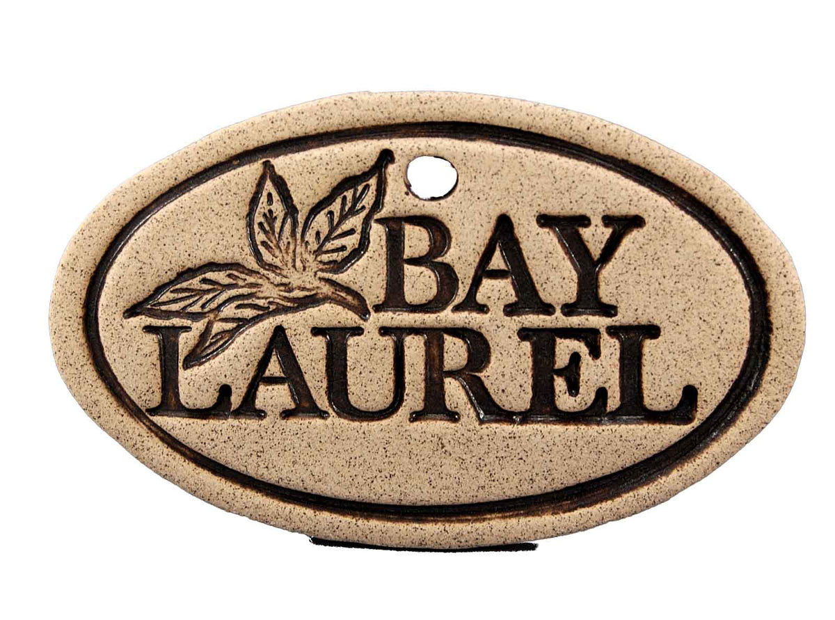 Bay Laurel - Amaranth Stoneware Canada