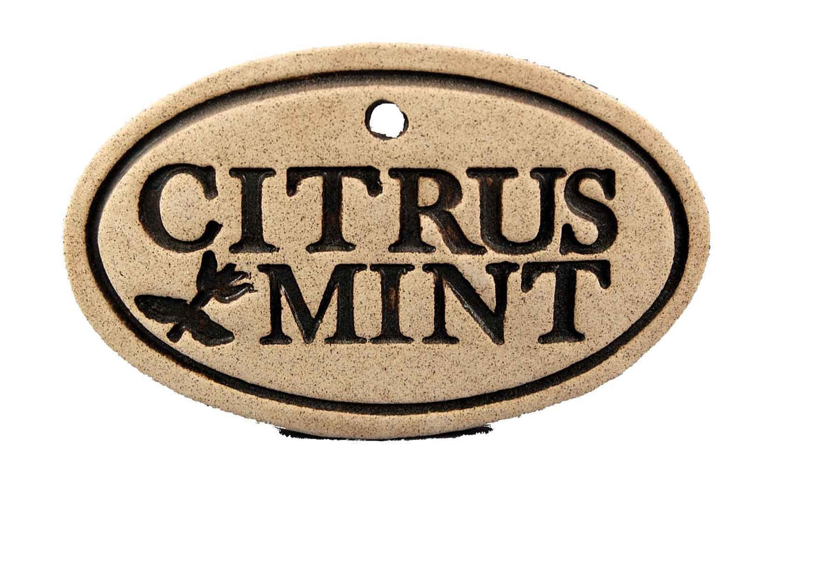 Citrus Mint - Amaranth Stoneware Canada