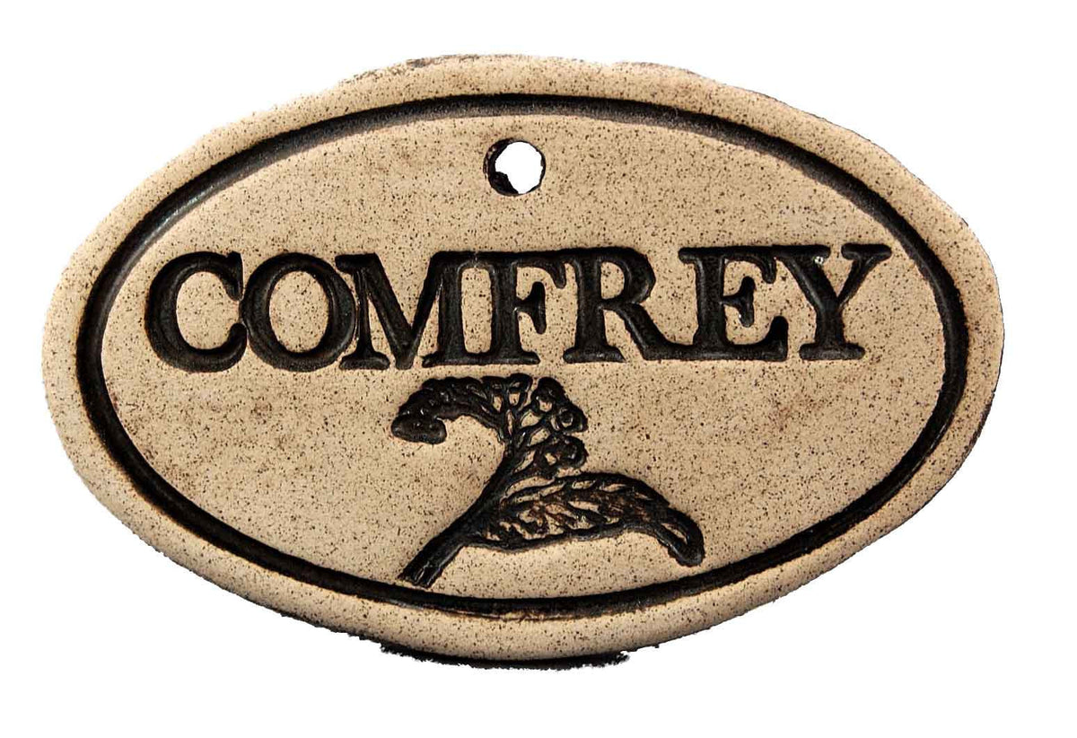 Comfrey - Amaranth Stoneware Canada