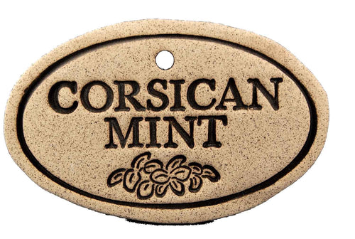 Corsican Mint - Amaranth Stoneware Canada