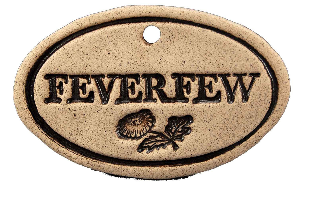 Feverfew - Amaranth Stoneware Canada