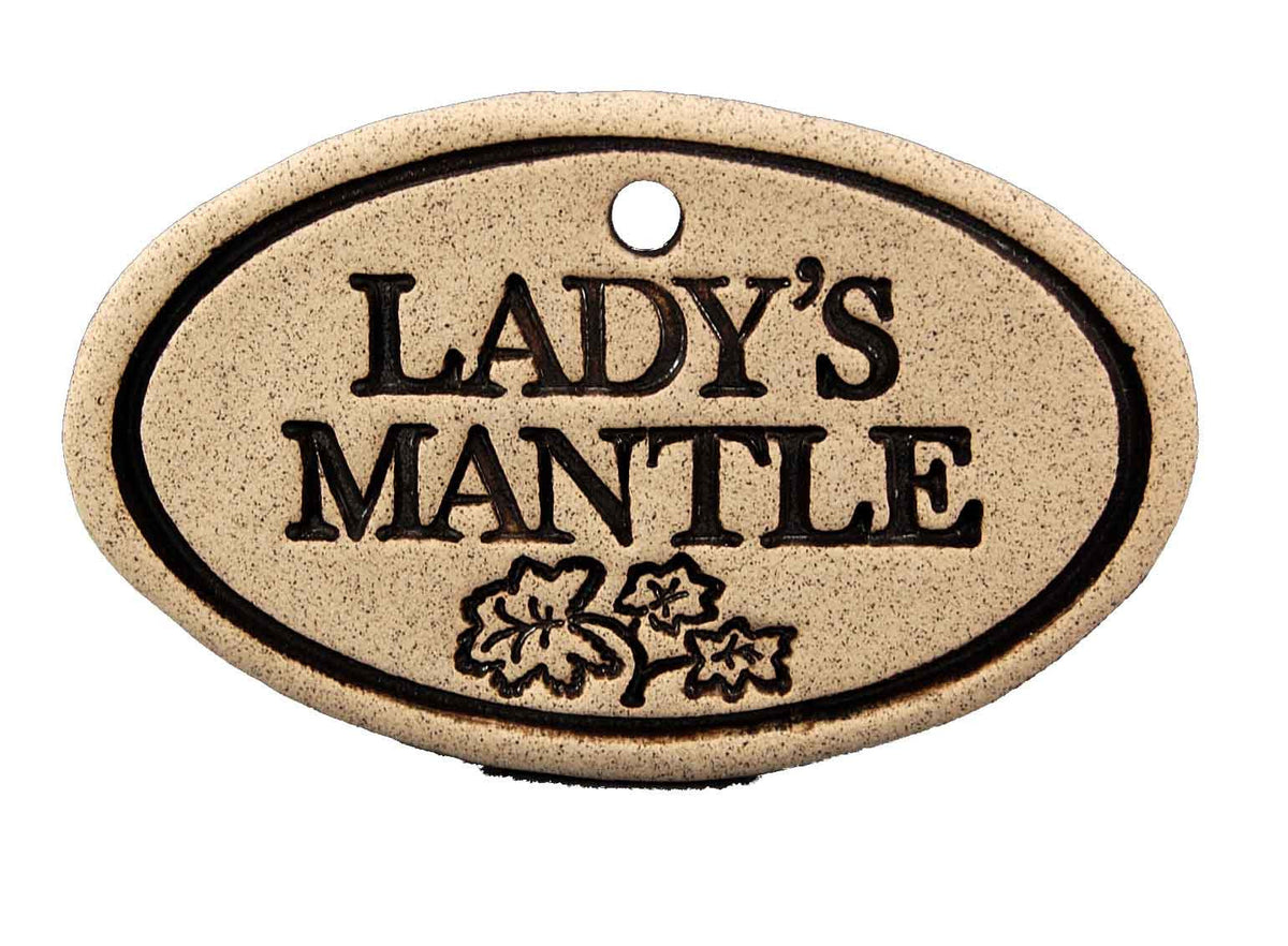 Lady's Mantle - Amaranth Stoneware Canada