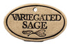 Variegated Sage - Amaranth Stoneware Canada