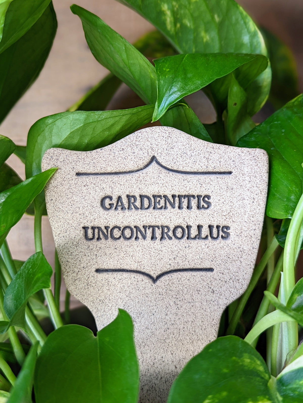 Gardenitis Uncontrollus