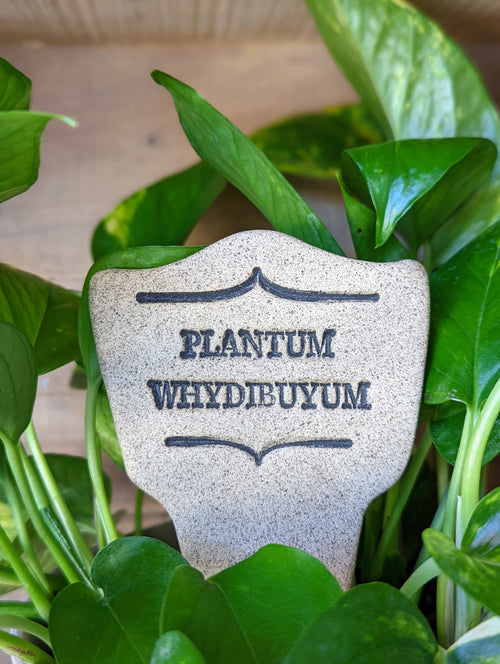 Plantum Whydibuyum
